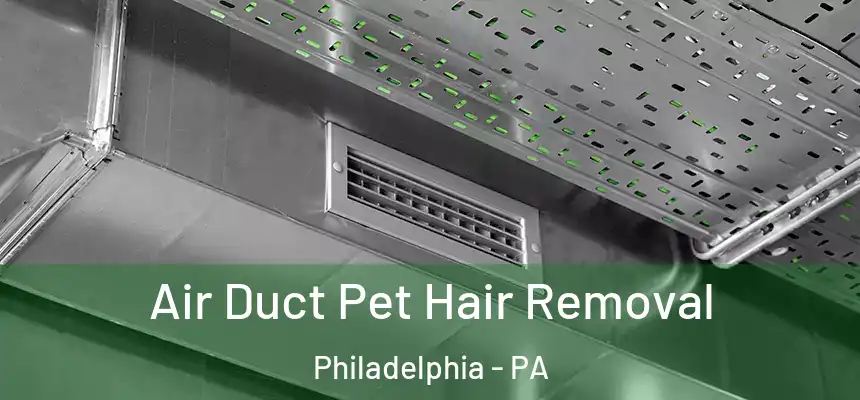 Air Duct Pet Hair Removal Philadelphia - PA