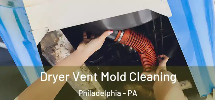 Dryer Vent Mold Cleaning Philadelphia - PA
