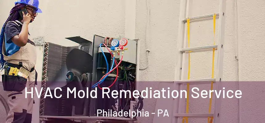 HVAC Mold Remediation Service Philadelphia - PA
