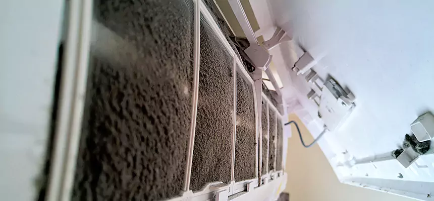 Preventive Air Duct Bacteria Removal in Philadelphia