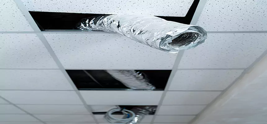 Our Air Duct Pet Hair Removal Services in Philadelphia, PA