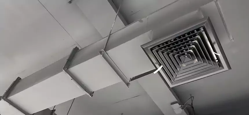 Our Rodent Droppings In Vents Services in Philadelphia, PA