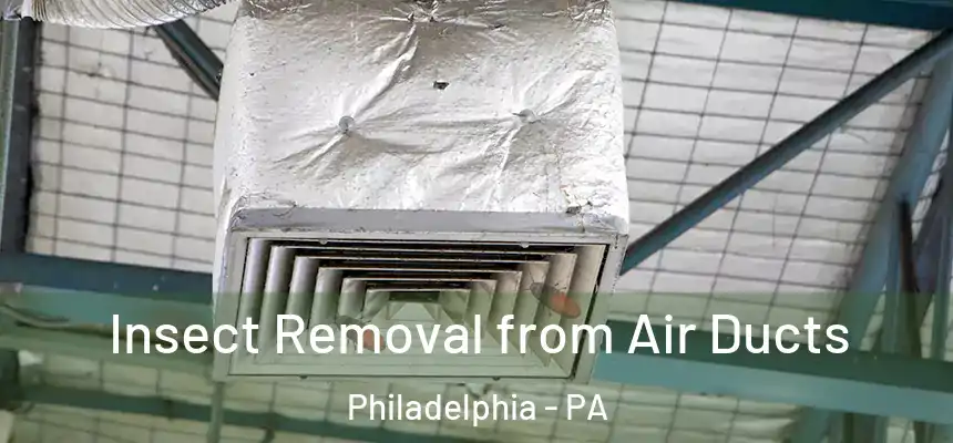 Insect Removal from Air Ducts Philadelphia - PA