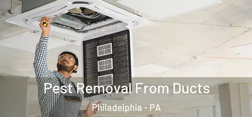 Pest Removal From Ducts Philadelphia - PA