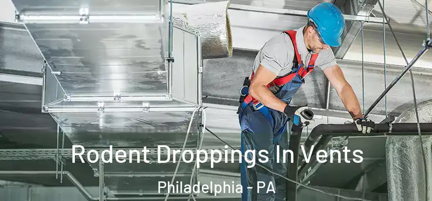 Rodent Droppings In Vents Philadelphia - PA
