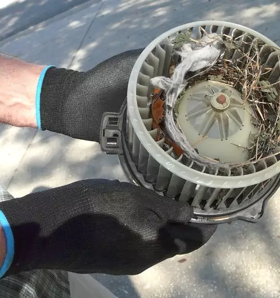 About Air Duct Mice Removal in Philadelphia, PA