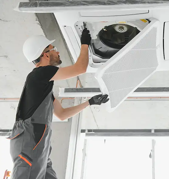 About Air Duct Rodent Removal in Philadelphia, PA