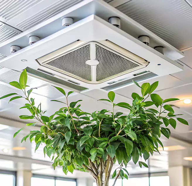 Why Homeowners & Businesses Trust Us in Philadelphia, PA?