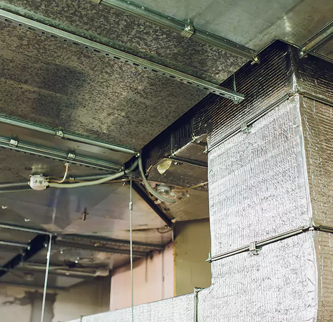 Why Homeowners & Businesses Trust Us in Philadelphia, PA?